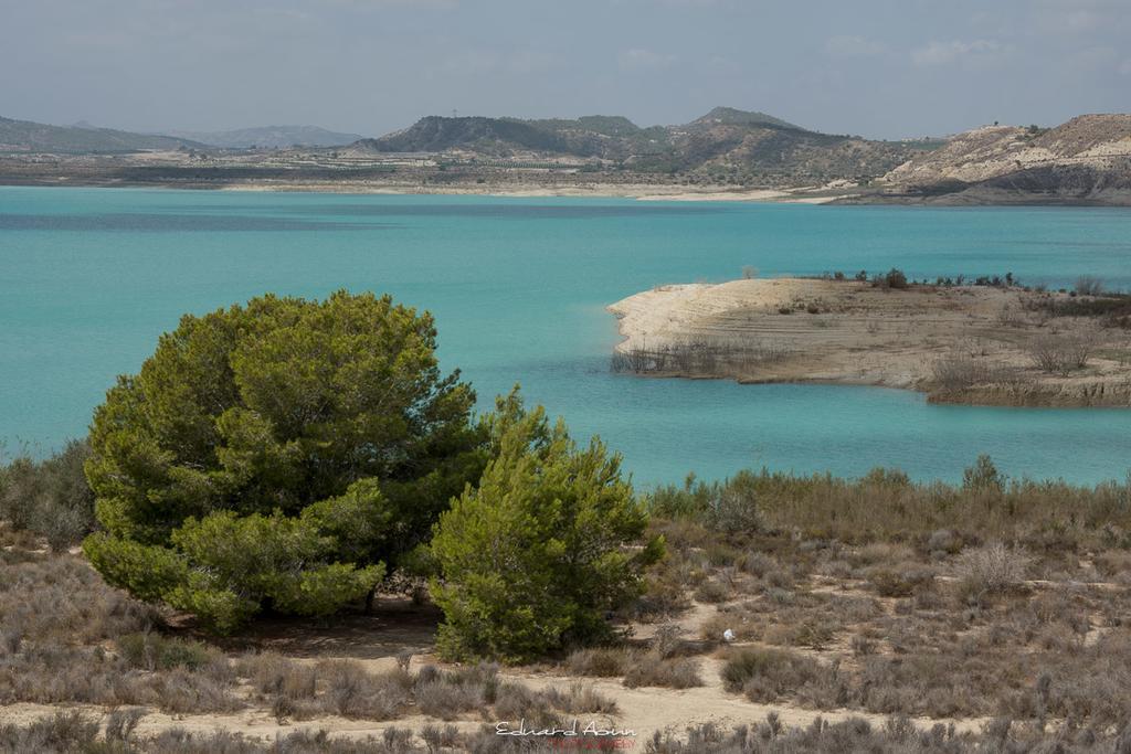 Camping La Pedrera Bigastro ภายนอก รูปภาพ